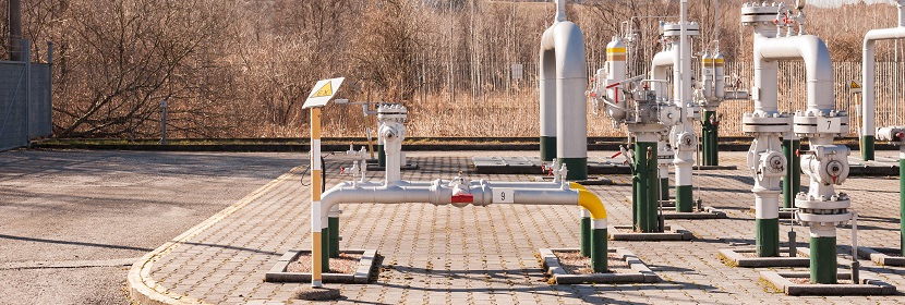 有什么簡便的方法檢測口腔細(xì)菌 ?有關(guān)菌落總數(shù)檢測問題都在這里~?健明迪