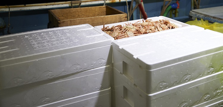 求問毒理未來的前景在何方 ?關于第三檢測行業，食品檢測、消費品檢測和環境檢測，業務的開發方向有什么差異。 