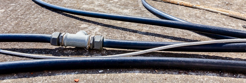 病毒檢測(cè)與細(xì)菌檢測(cè)有何不同??SAA——判斷病毒感染靈敏而可靠的檢測(cè)指標(biāo)