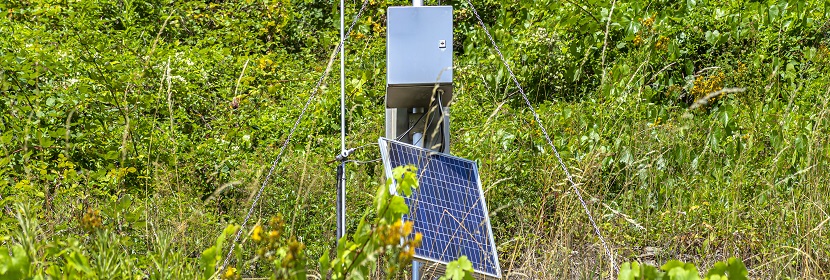 城市供水及飲用水中微生物如何快速檢測 這幾個單位的對比給出答案!?微生物高分文章必備分析LEfSe?健明迪
