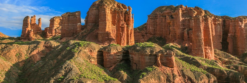 蔓越莓檢測(cè)