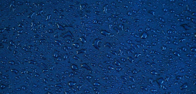 SARS-CoV 鼻內感染敘利亞倉鼠模型