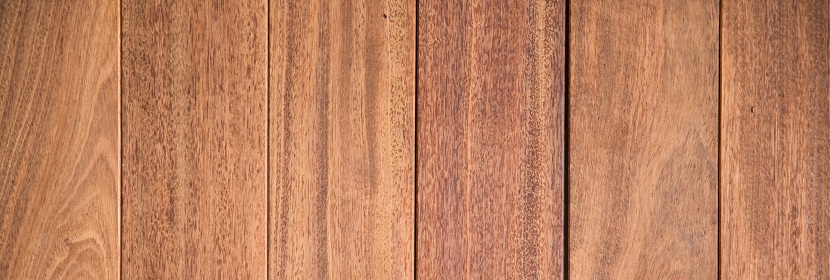 慢性束縛應激體力疲勞小鼠模型