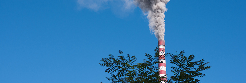 工業乙酸鈉檢測