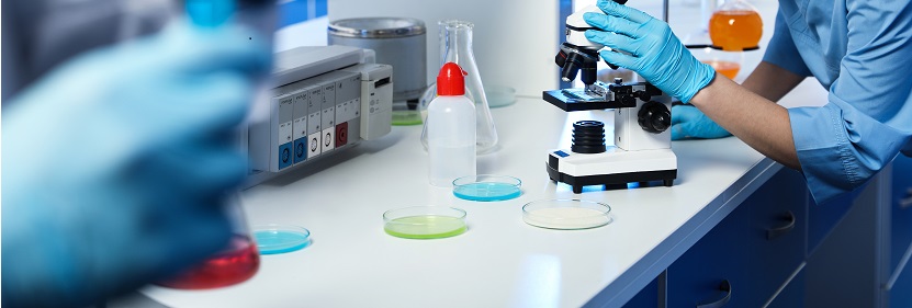 聚醋酸乙烯酯檢測(cè)