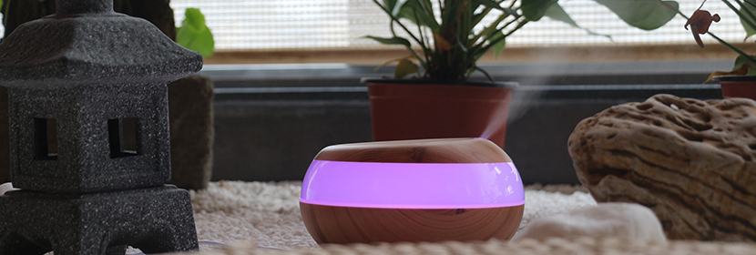 米曲霉檢測(cè)