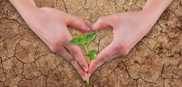 羥基氯化鐵檢測(cè)