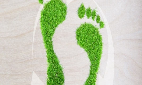 硫酸亞鐵銨檢測(cè)