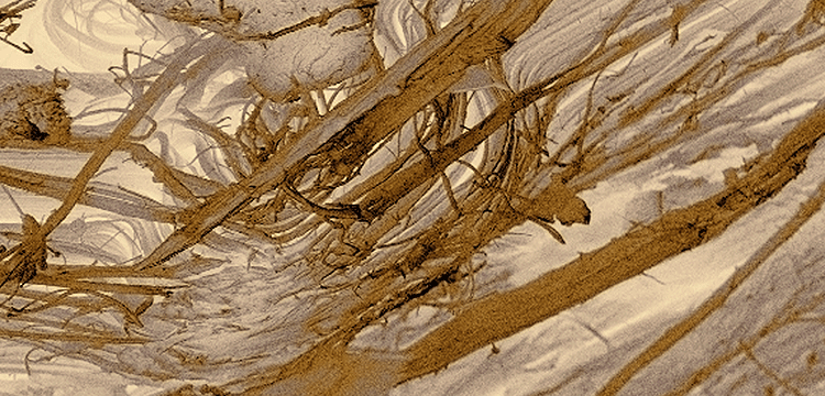 氧化誘導(dǎo)時(shí)間檢測