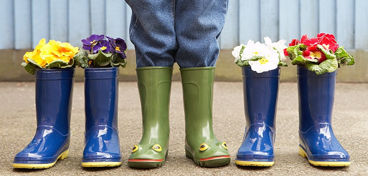 替米考星檢測(cè)