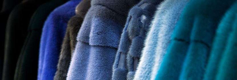 魔芋粉質量檢測