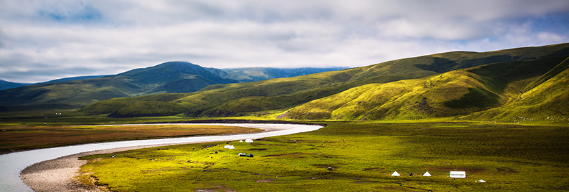 微生態制劑檢測