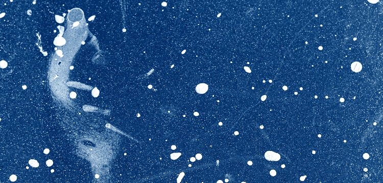 引張強(qiáng)度測試