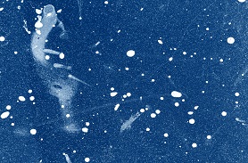 引裂強(qiáng)度測試