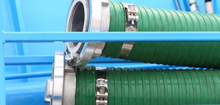 抑郁癥c57小鼠慢性社會挫敗應激模型