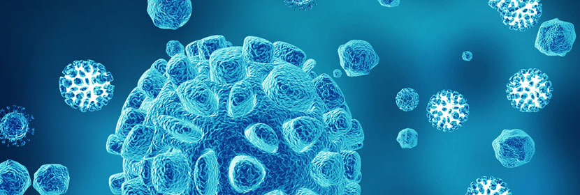 玩具微生物檢測(cè)