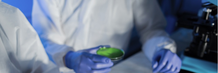 發(fā)泡聚丙烯（PP-E）珠粒檢測