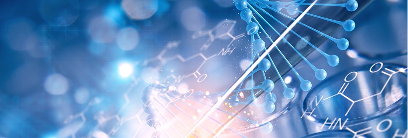 食品容器橡膠墊片檢測