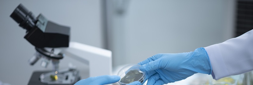 家電用多楔帶檢測